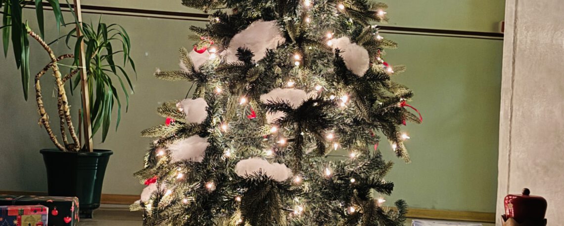 Wir hoffen, Sie und Ihre Familien hatten besinnliche Feiertage und wünschen ein gesundes, neues Jahr!